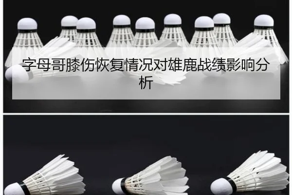 字母哥膝伤恢复情况对雄鹿战绩影响分析 | kaiyuan